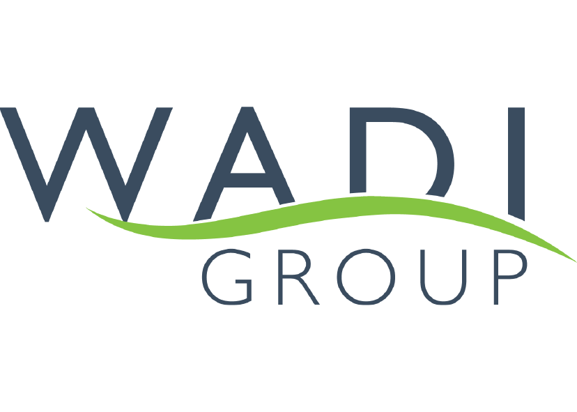 Wadi Group